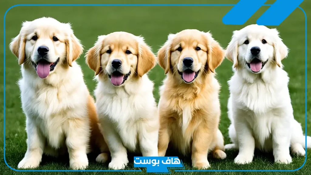 تفسير رؤية الكلاب في المنام لابن سيرين ورمز هجومهم للعزباء