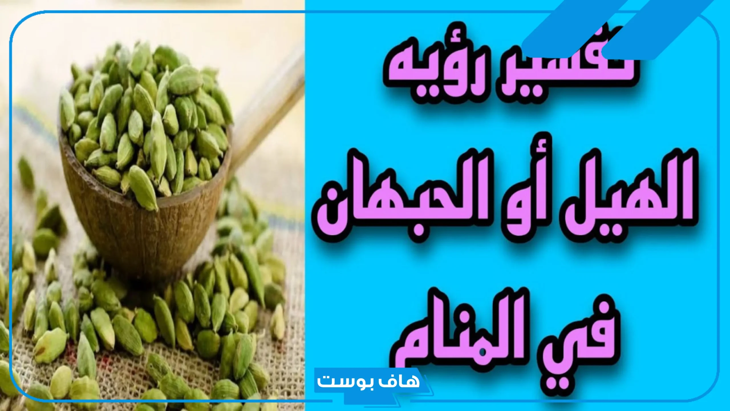 تفسير حلم الهيل في المنام للامام الصادق للمتزوجة والعزباء عند ابن سيرين
