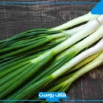 فوائد بصل اخضر طويل للبشرة والقولون والنساء والشعر