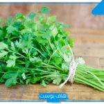 تفسير حلم أكل البقدونس في المنام وفرمه للمتزوجة والعزباء