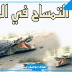 تفسير حلم التمساح يطاردني للمتزوجة داخل البيت والعزباء في المنام