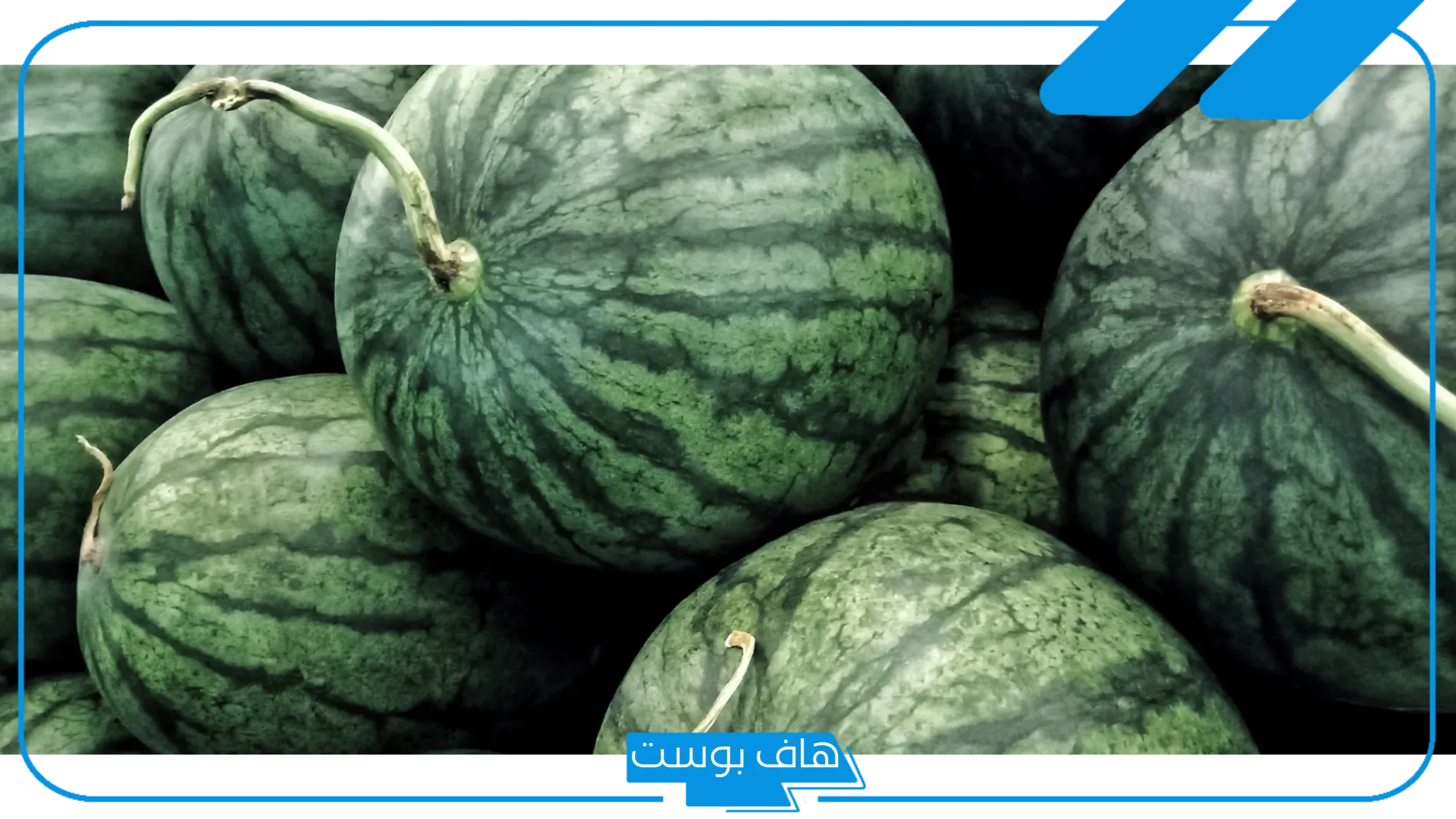 تفسير حلم الحبحب الأحمر والأخضر في المنام للعزباء عند ابن سيرين