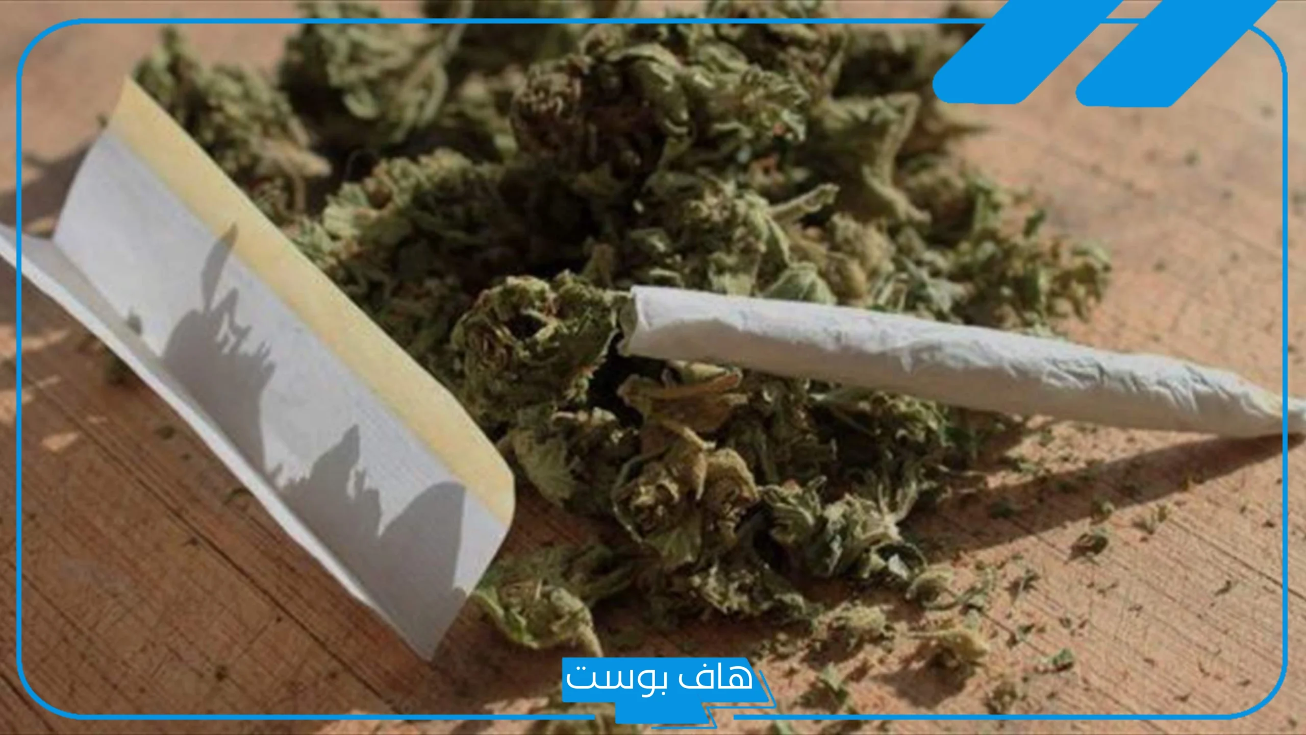 تفسير حلم الحشيش في المنام للمتزوجة عند ابن شاهين