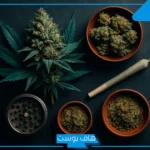 تفسير حلم رؤية الحشيش في المنام بني للرجل المتزوج لكبار العلماء