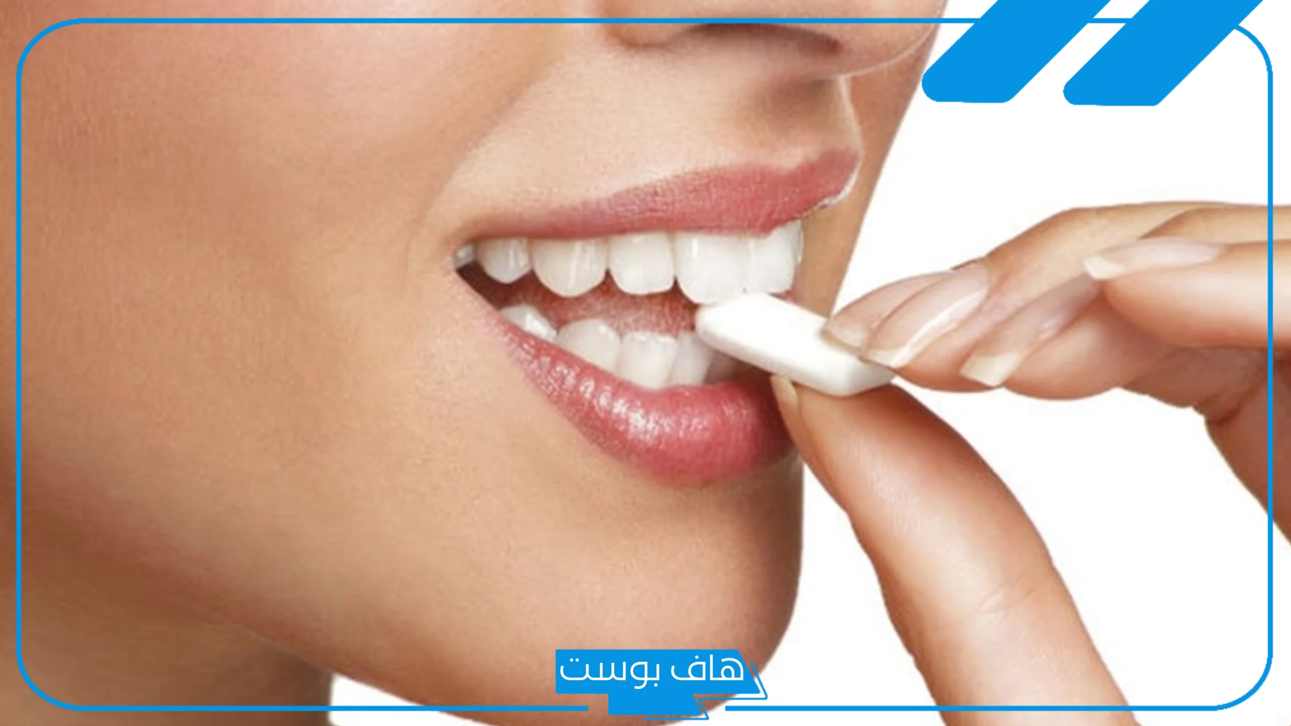 تفسير حلم أكل العلك في المنام للمرأة المتزوجة عند العالم ابن سيرين