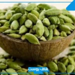 تفسير حلم الهيل في المنام للمطلقة والرجل وإمساكها عند ابن سيرين