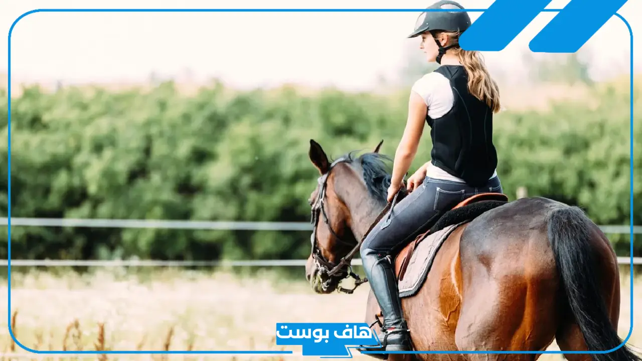 تفسير حلم ركوب الخيل في المنام للعزباء مع شخص أعرفه لابن سيرين