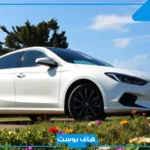تفسير حلم شراء سيارة بيضاء للرجل المتزوج في المنام عند ابن سيرين