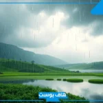 تفسير رؤية المطر والبرد في المنام للمهموم والمرأة العزباء لابن سيرين