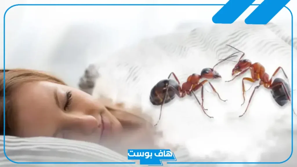 تفسير حلم نمل يمشي على جسمي في المنام لابن سيرين للعزباء