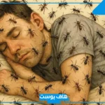 تفسير حلم نمل يمشي على جسمي في المنام لابن سيرين للعزباء