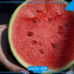 تفسير رؤية البطيخ الاحمر في المنام للامام الصادق وابن سيرين