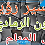 تفسير حلم اللون الرمادي في المنام للمتزوجة والرجل والحامل