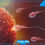 تفسير رؤية المني في المنام لرجل لا اعرفه للعزباء والحامل لابن سيرين