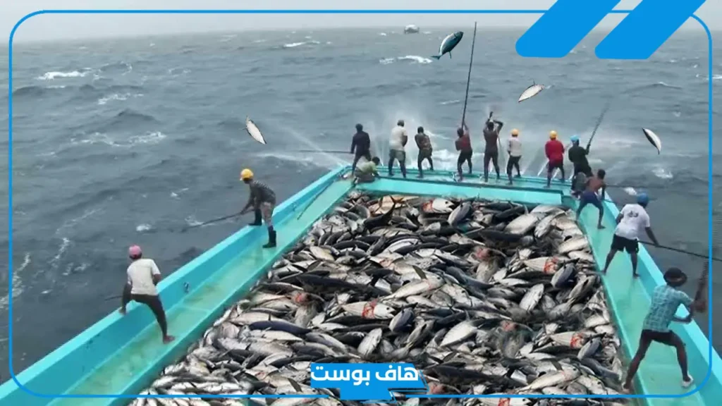 تفسير صيد السمك في الحلم للرجل والمرأة العزباء والمتزوجة لابن سيرين