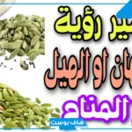 تفسير حلم الهيل في المنام للامام الصادق للمتزوجة والعزباء عند ابن سيرين