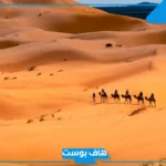 الذويبي وش يرجع أصله.. شجرة عائلة الذويبي وأصولهم وش ترجع