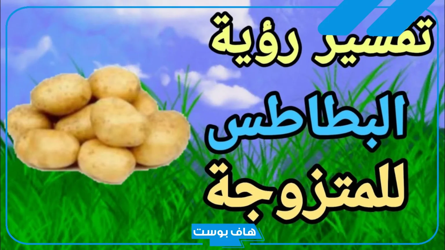 تفسير رؤية البطاطس في المنام للحامل ونوع الجنين والعزباء لابن سيرين