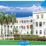 تفسير حلم رؤية القصر في المنام للمتزوجة ذهبي وكبير لابن سيرين