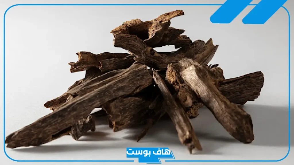 تفسير رؤيا العود في المنام للمطلقة والرجل والمتزوجة لابن سيرين