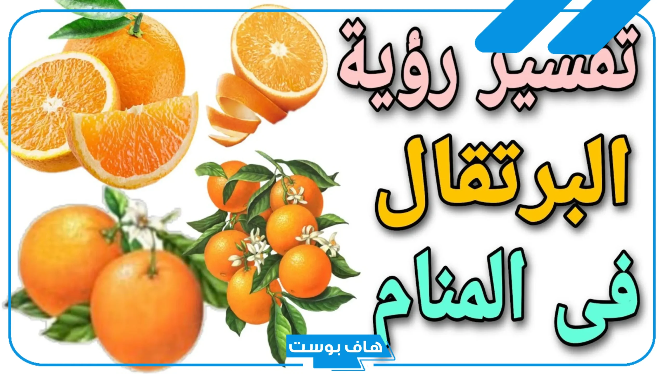 تفسير حلم رؤية البرتقال في المنام للعزباء والمتزوجة عند كبار المفسرين