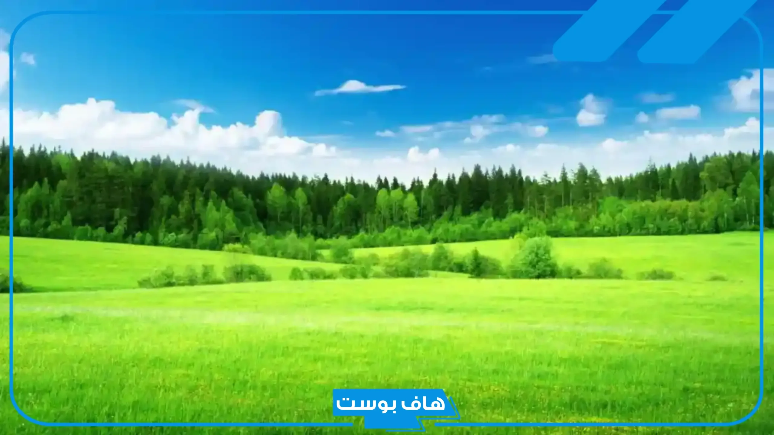 تفسير حلم رؤية الارض الخضراء في المنام الواسعة للمتزوجة والعزباء