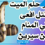 تفسير حلم قتل الحيه في المنام للمرأة المتزوجة والعزباء للعالم ابن سيرين