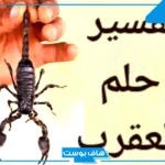 تفسير العقرب في المنام للرجل والمرأة لابن سيرين وعلاقته بقدوم الخير