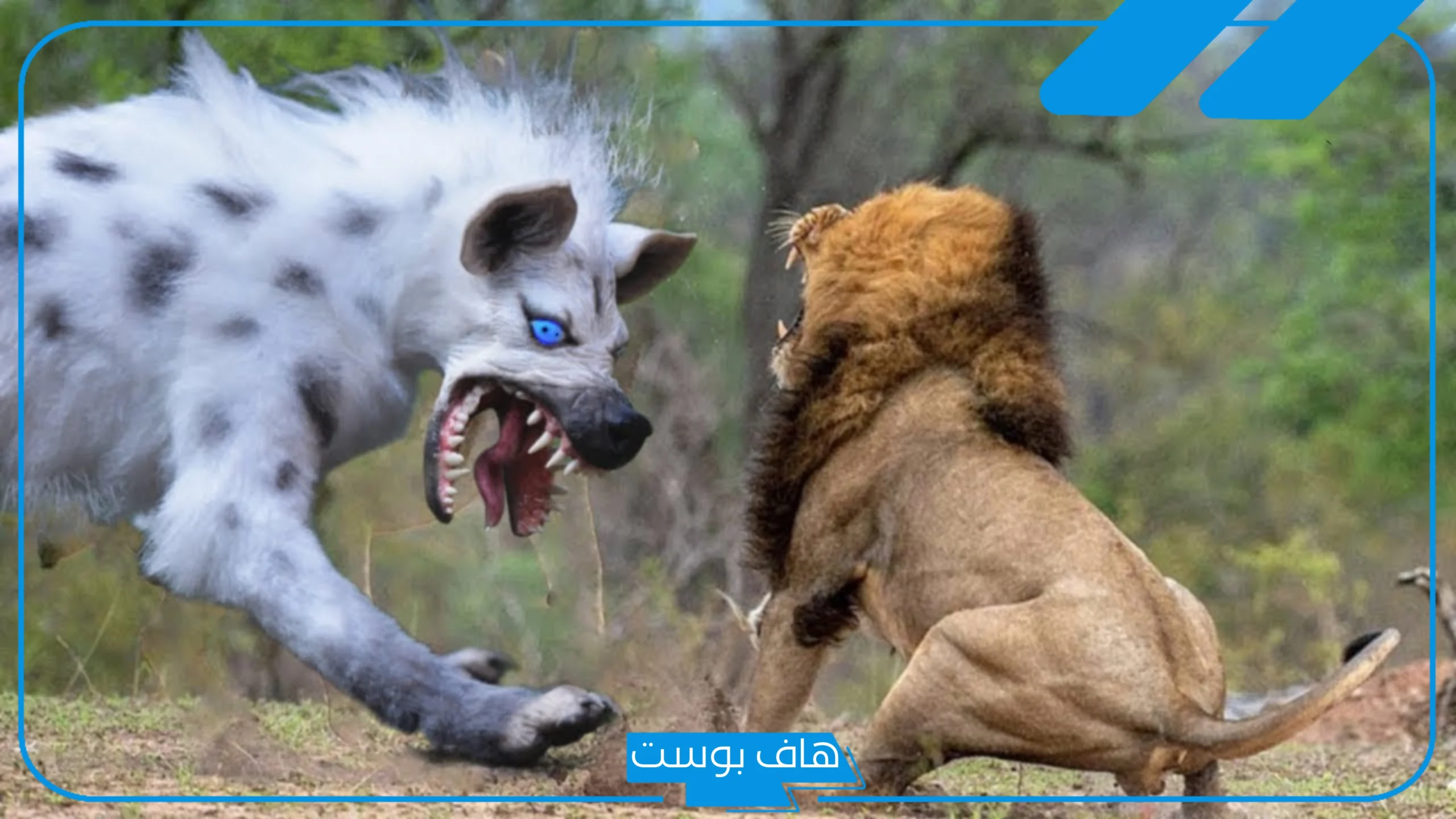 تفسير حلم قتل الاسد في المنام للرجل والمرأة المتزوجة لابن سيرين