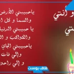 خواطر عيد ميلاد حبيبي رومانسية طويلة وقصيرة.. رسائل عيد ميلاد حبيبي وهو بعيد عني واتس آب