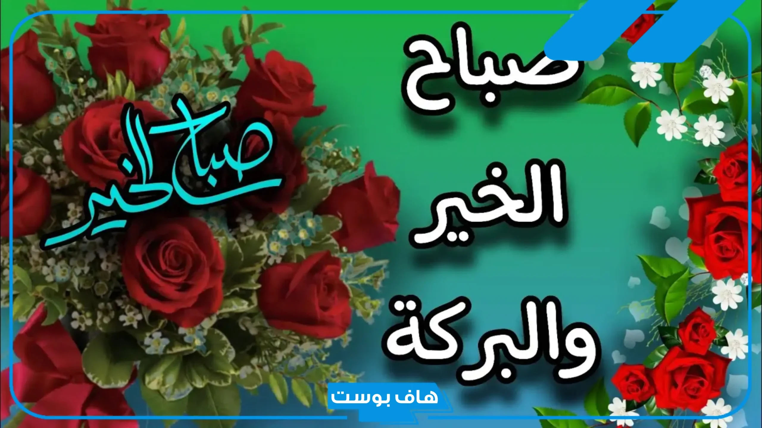 كلمات الصباح للاصدقاء واتس آب.. أحلى كلام يقال في الصباح للأصدقاء تويتر