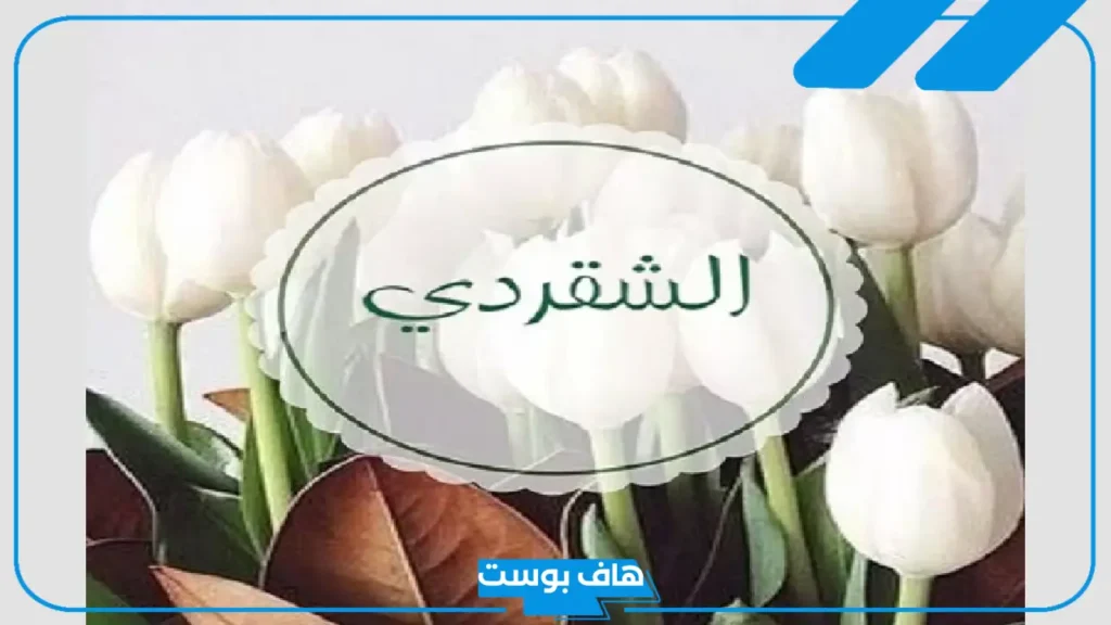 معنى شقردي بالسعودي والإنجليزي.. ما أصل كلمة شقردي؟