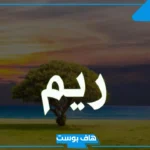 تفسير رؤية اسم ريم في المنام للحامل والأرملة والمتزوجة لابن سيرين