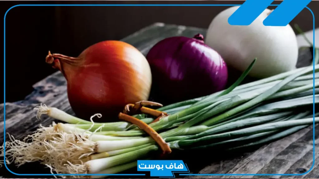 تفسير رؤية البصل في المنام لابن سيرين للمطلقة والمتزوجة