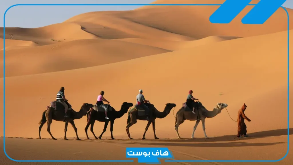 الجبرين وش يرجع أصله ونسبه.. ديرة قبيلة الجبرين وين؟ الجبرين وش يرجع أصله ونسبه.. ديرة قبيلة الجبرين وين؟