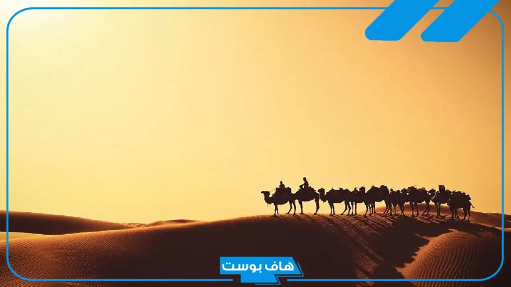 السديري وش يرجعون؟ أصل السديري من وين وفخوذ وأعلام القبيلة السديري وش يرجعون؟ أصل السديري من وين وفخوذ وأعلام القبيلة