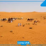 الناشري وش يرجع الأصل والنسب.. وفروع قبيلة الناشري