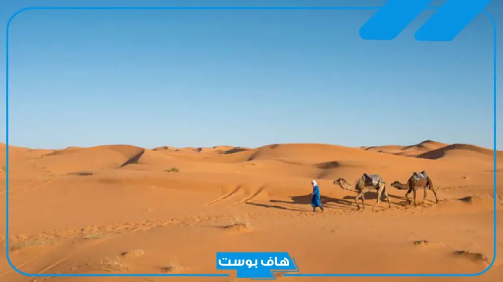 النومسي وش يرجع أصله؟ فروع وشخصيات قبيلة النومسي النومسي وش يرجع أصله؟ فروع وشخصيات قبيلة النومسي