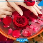 تفسير حلم شجرة ورد احمر في المنام للعزباء والمتزوج لابن سيرين