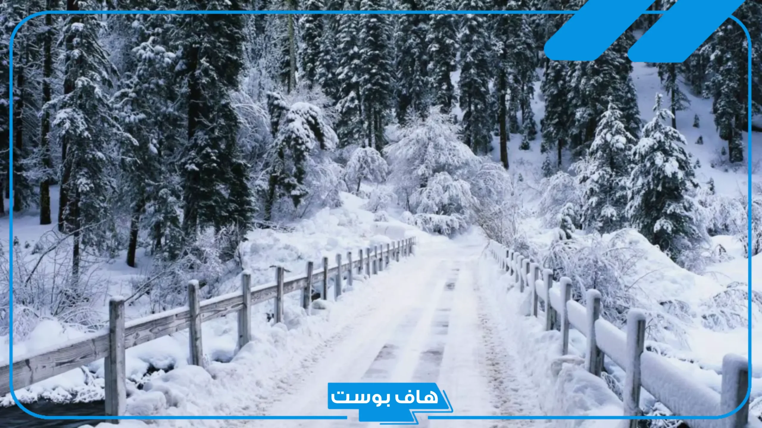 تفسير حلم نزول الثلج في المنام أبيض للرجل والعزباء والمتزوجة لكبار العلماء