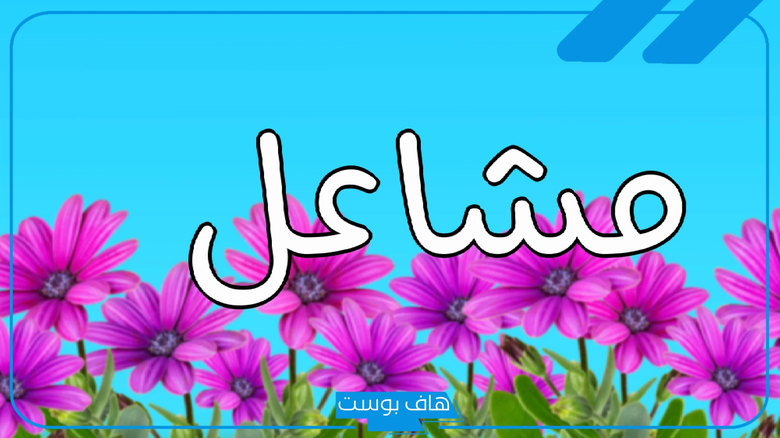 رمز اسم مشاعل في المنام للمطلقه والمتزوجة والأعزب لابن سيرين