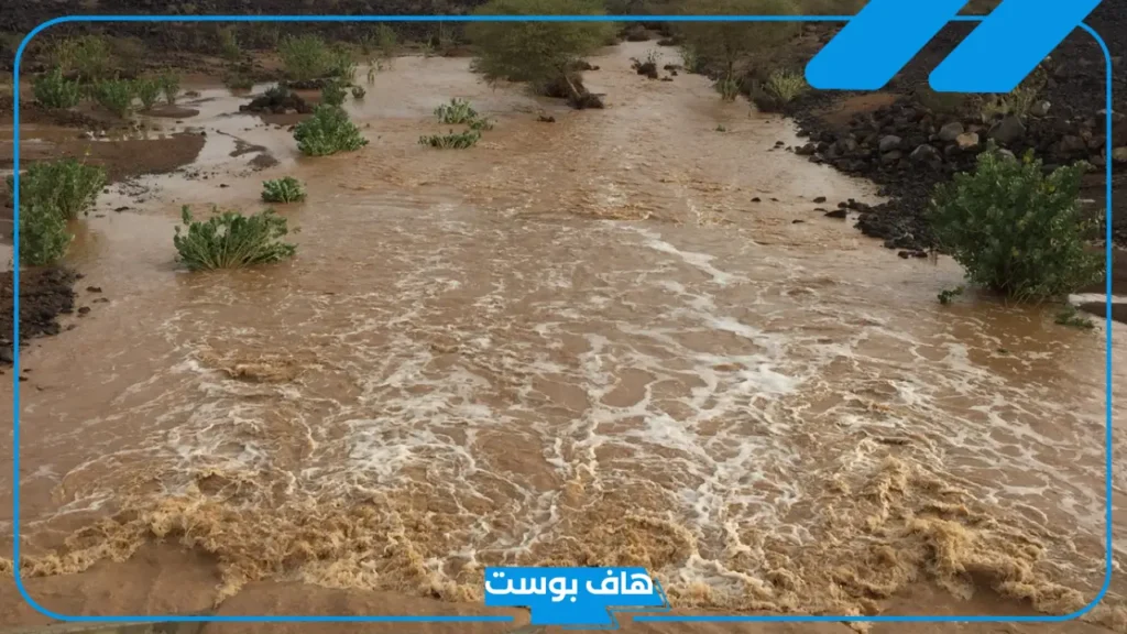 تفسير حلم السيل بدون مطر في المنام للمطلقة والعزباء لابن سيرين 