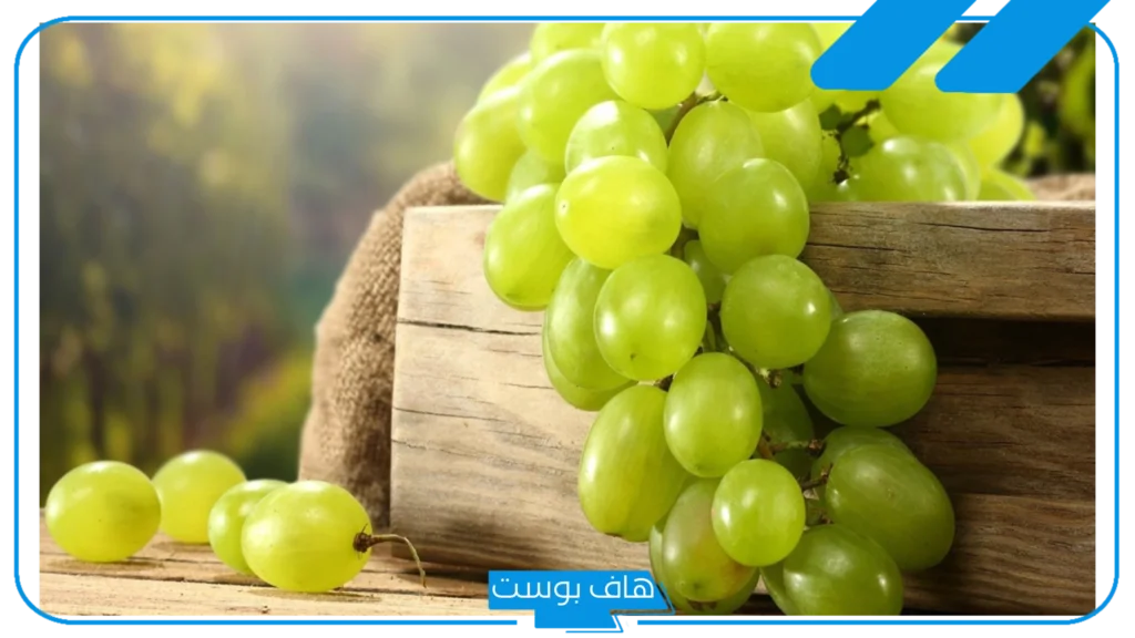 تفسير رؤية اكل العنب الاخضر في المنام للرجل والمرأة العزباء لابن سيرين