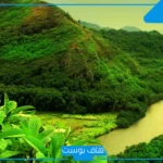 تفسير رؤية الجنة في المنام للمتزوجة ودخولها مع أمي لابن سيرين