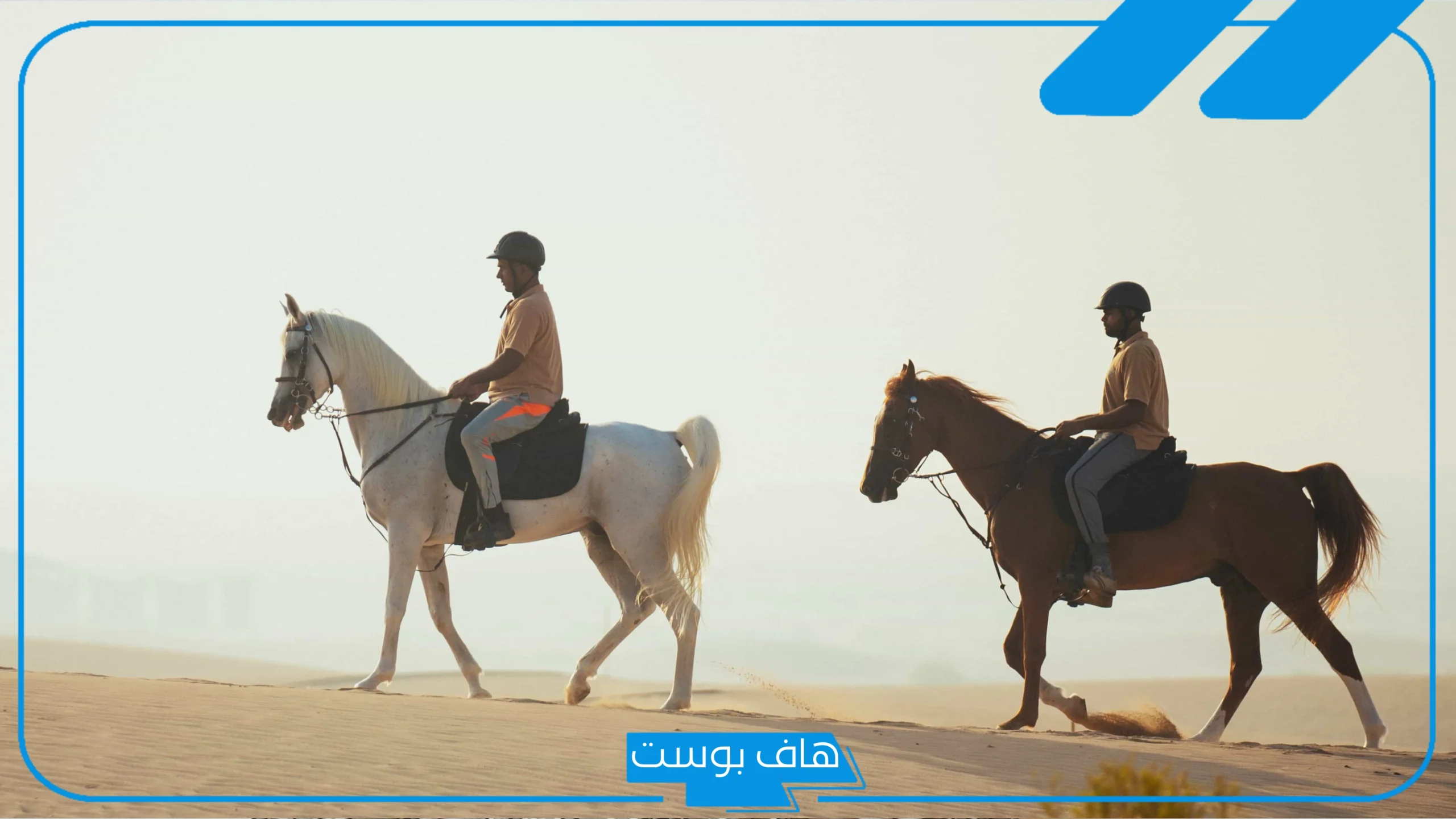تفسير حلم ركوب الخيل للرجل والجري به في المنام للعالم ابن سيرين