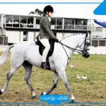 تفسير حلم ركوب الخيل للرجل والجري به في المنام للعالم ابن سيرين