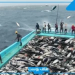 حلم صيد السمك بالسنارة للرجل الاعزب في المنام والحامل لابن سيرين