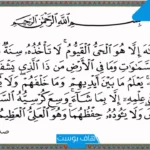 تفسير حلم قراءة اية الكرسي في المنام على الجن لابن سيرين