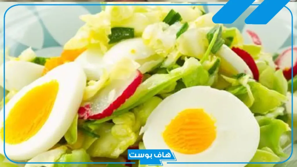 جدول الرجيم الكيميائي اسامه حمدي طوال الأسبوع لخسارة الوزن