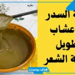 خلطة هندية لتطويل الشعر بالسدر.. فوائد وأضرار السدر والحناء على الشعر